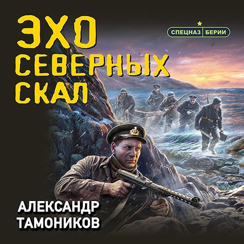Александр Тамоников - Эхо северных скал (Аудиокнига)