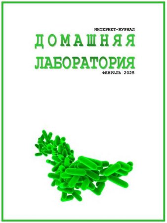 Постер к Домашняя лаборатория №2 (февраль 2025)